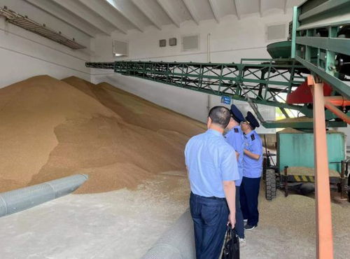 違規(guī)收購糧食被罰10萬元，南京公布一批典型案例加強(qiáng)糧食市場管理